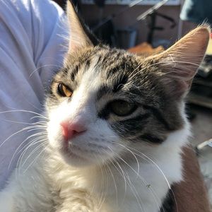 Meet your Posher, Katherine